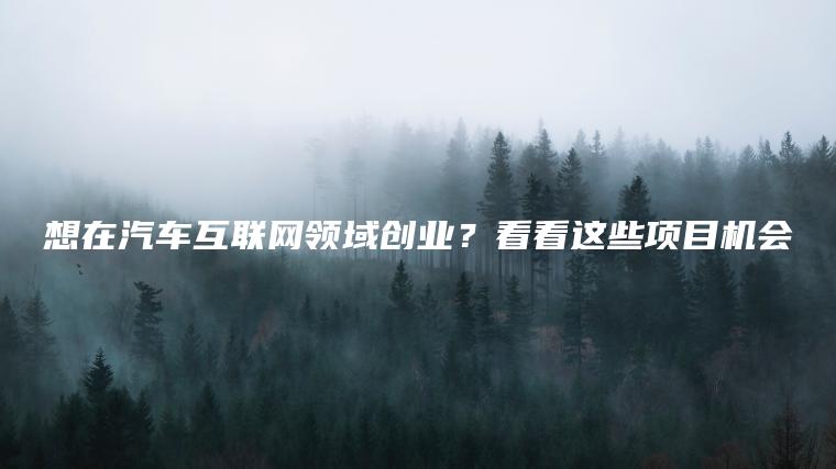 想在汽车互联网领域创业？看看这些项目机会