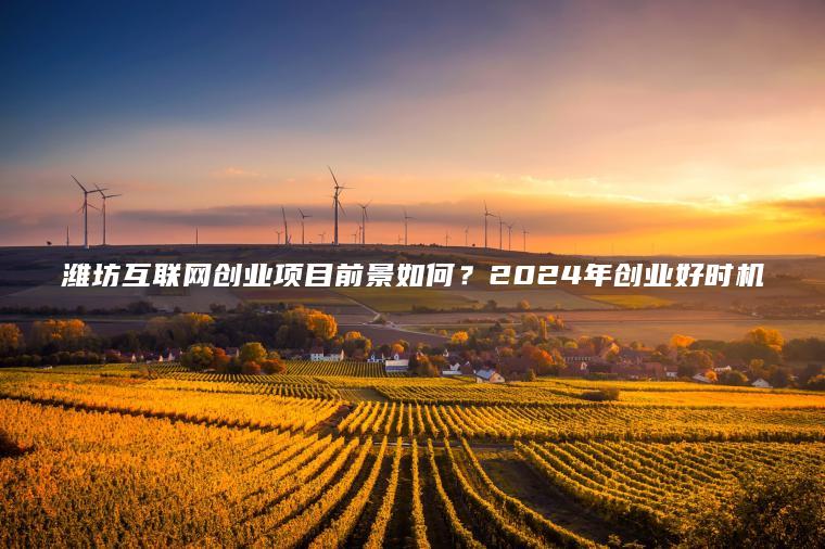 潍坊互联网创业项目前景如何？2024年创业好时机