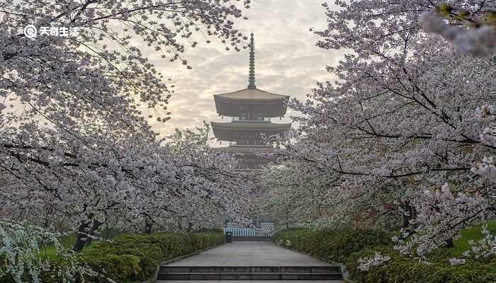 湖州市春季赏花去哪里