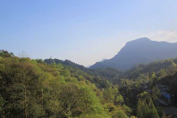 玩青城山要多长时间